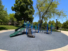 Playground equipment with green slides and blue structures at Field Park.