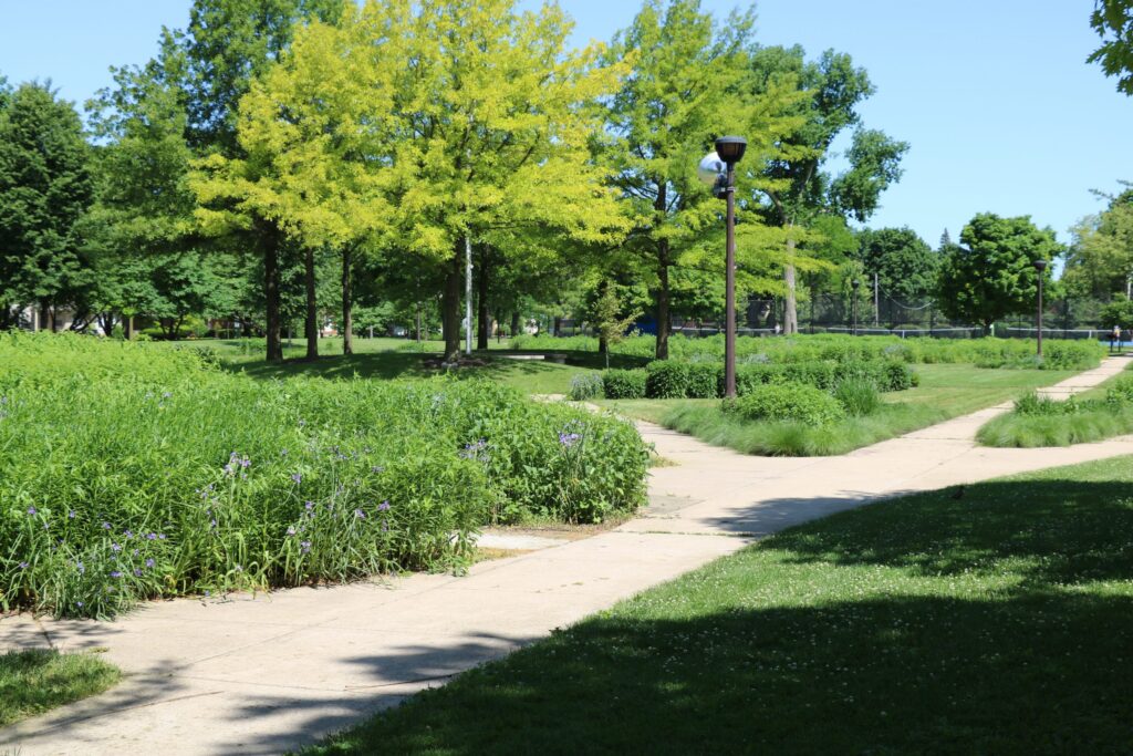 Lindberg Park