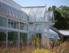 The Oak Park Conservatory features a white-trimmed glass structure with a curved roof and arched windows, surrounded by tall