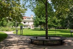 walking path and circular bench around a tree